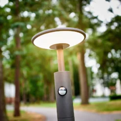 Fenia Buiten Tuinlamp W/Sensor Anthracite/Opal - Lucande - Koop Online -Winkel Voor Modeverlichting 42510965480134