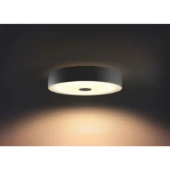 Fair Plafondlamp White Amb. Black - Philips Hue - Koop Online 13 Fair Plafondlamp White Amb. Black - Philips Hue - Koop Online -Winkel Voor Modeverlichting 8718696159170 fair loftlampe sort philips hue 6