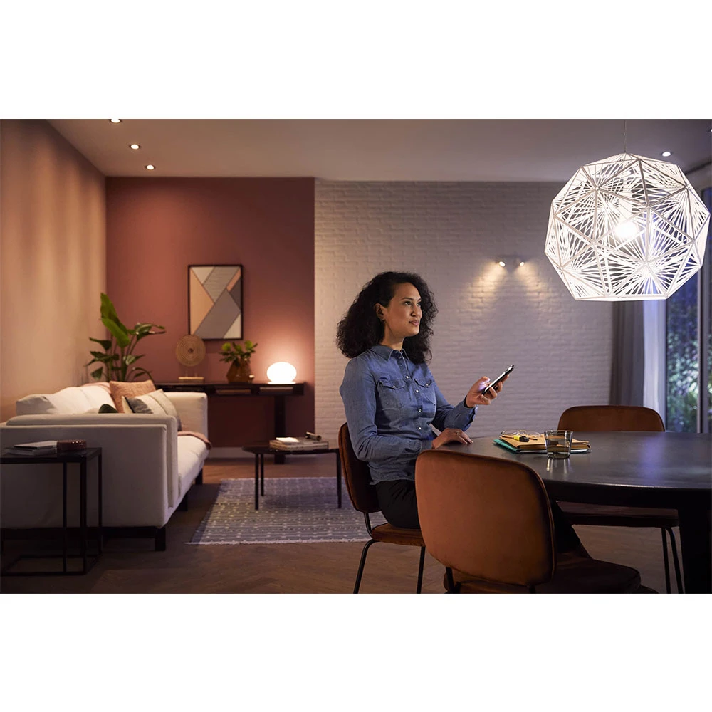 Argenta Spot Alu 2 Pcs. Bluetooth White/Color Amb. - Philips Hue - Koop Online 8 Argenta Spot Alu 2 Pcs. Bluetooth White/Color Amb. - Philips Hue - Koop Online - Afbeelding 6