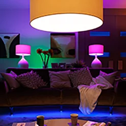 Philips Hue White 9W Bluetooth E27 Lichtbron 2 Pcs. - Philips Hue - Koop Online -Winkel Voor Modeverlichting 8718696785270 philips hue white 9w bluetooth e27 paere 2 stk philips hue6