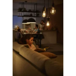 Philips Hue White Filament Bluetooth Ø93 E27 - Philips Hue - Koop Online -Winkel Voor Modeverlichting 8718699688882 philips hue white filament bluetooth oe93 e27 philips hue4