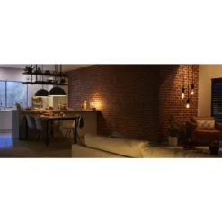 Philips Hue White Filament Bluetooth Ø93 E27 - Philips Hue - Koop Online -Winkel Voor Modeverlichting 8718699688882 philips hue white filament bluetooth oe93 e27 philips hue6